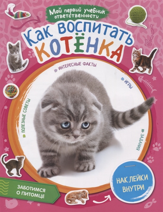 

Как воспитать котенка