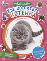 Как воспитать котенка Как воспитать котенка