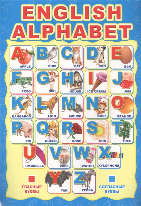 

Мини-плакат А4 ENGLISH ALPHABET