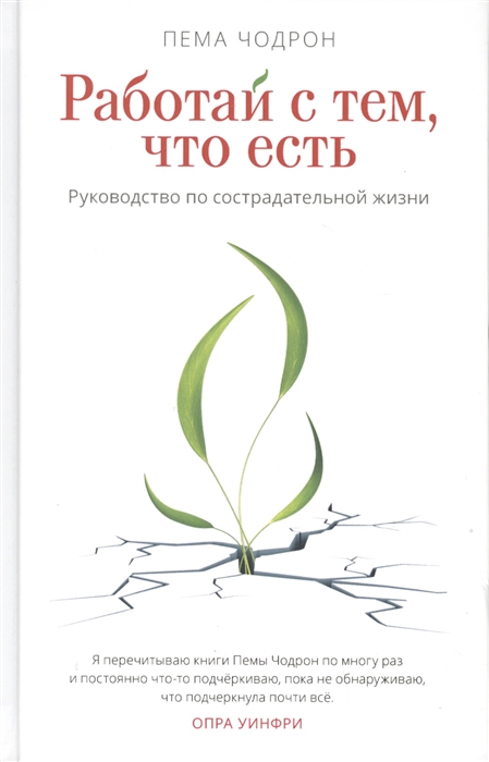 Работай с тем что есть руководство по сострадательной жизни