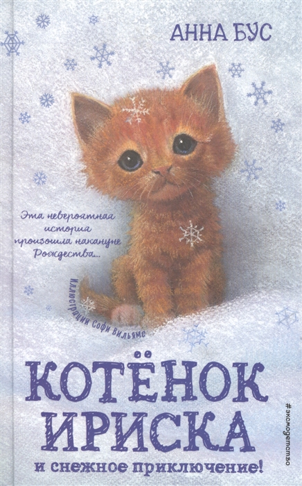 

Котенок Ириска и снежное приключение