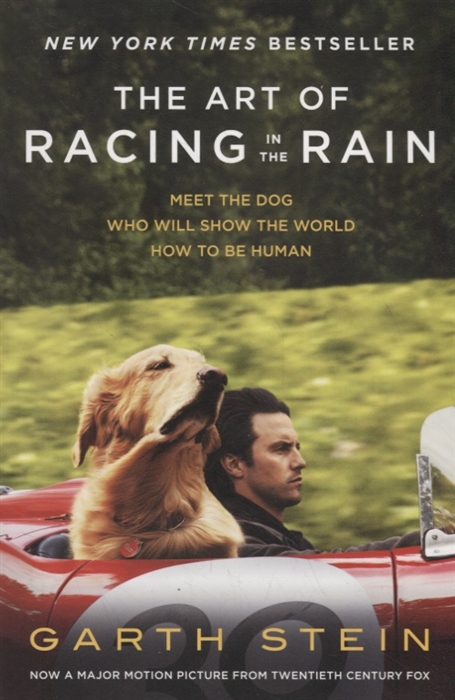 

The Art of Racing in the Rain