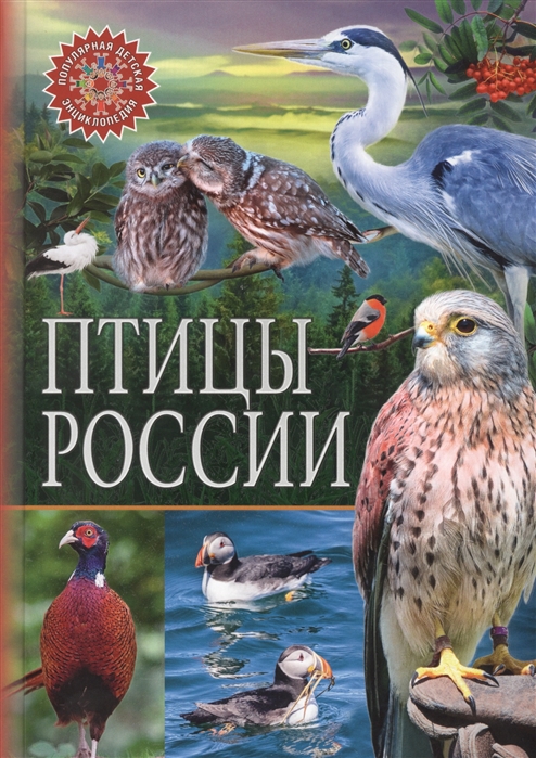 Феданова Ю., Скиба Т. (ред.) - Птицы России Популярная детская энциклопедия