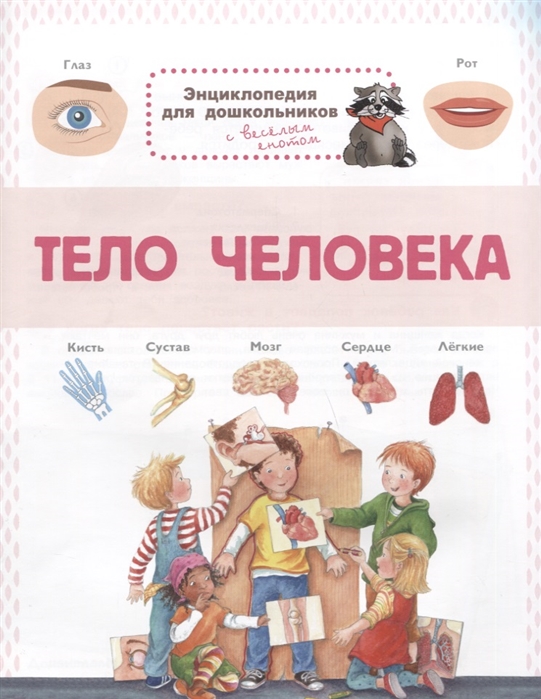 

Тело человека Энциклопедия для дошкольников с веселым енотом