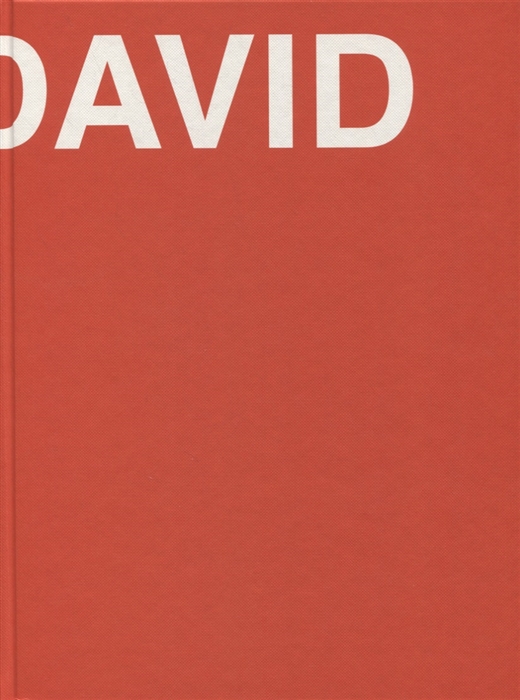 Dushkina N., Osipova T. (авт.-сост.) - David The Life of David Ashotovich Sarkisyan