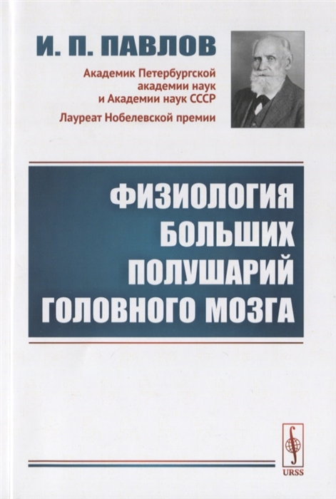 

Физиология больших полушарий головного мозга