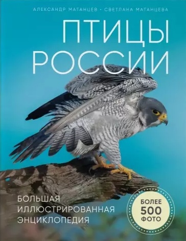 

Птицы России Большая иллюстрированная энциклопедия