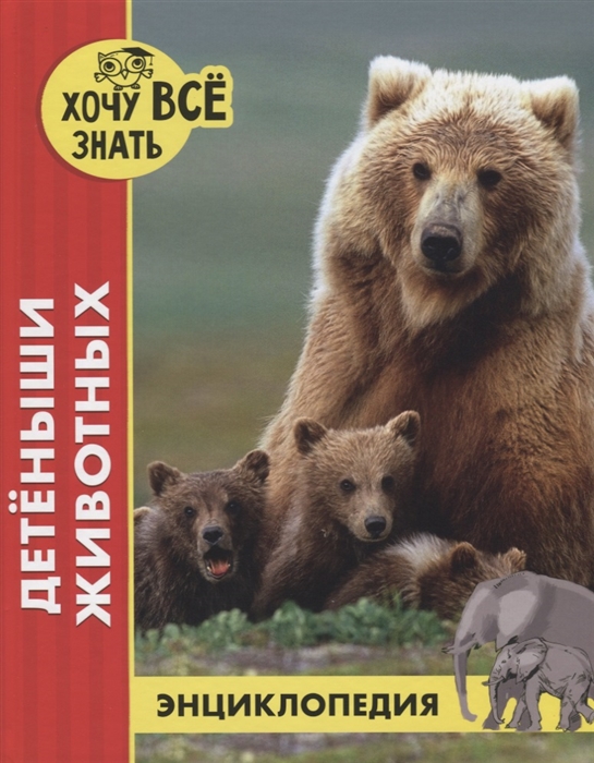 

Детеныши животных Энциклопедия