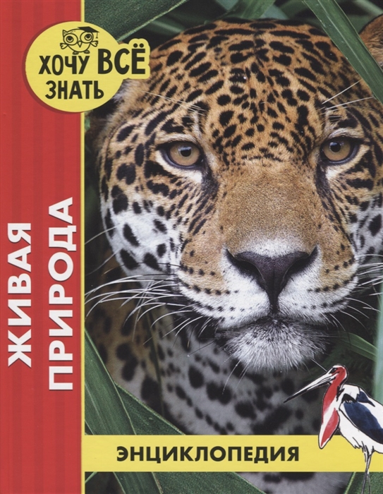 

Живая природа Энциклопедия