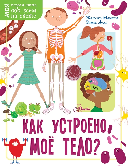 

Как устроено мое тело