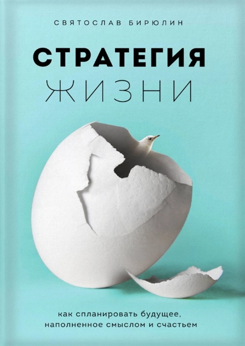 

Стратегия жизни Как спланировать будущее наполненное смыслом и счастьем