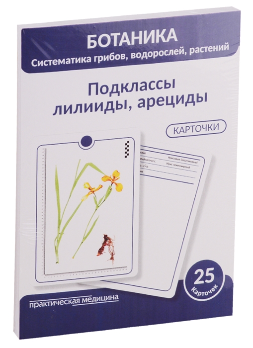 

Ботаника Систематика грибов водорослей растений Подклассы лилииды арециды 25 карточек