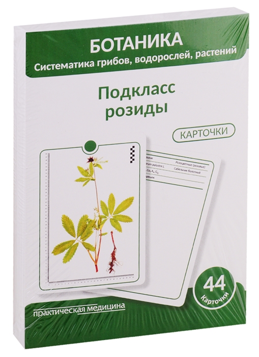 

Ботаника Систематика грибов водорослей растений Подкласс розиды 44 карточки