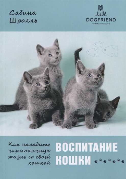 Воспитание кошки Как наладить гармоничную жизнь со своей кошкой