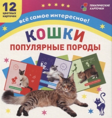 Кошки Популярные породы 12 цветных карточек Всё самое интересное Набор для занятий с детьми