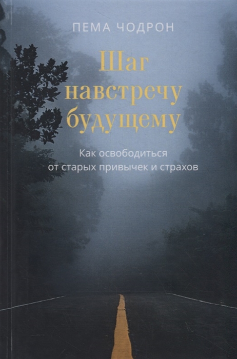 

Шаг навстречу будущему Как освободиться от старых привычек и страхов