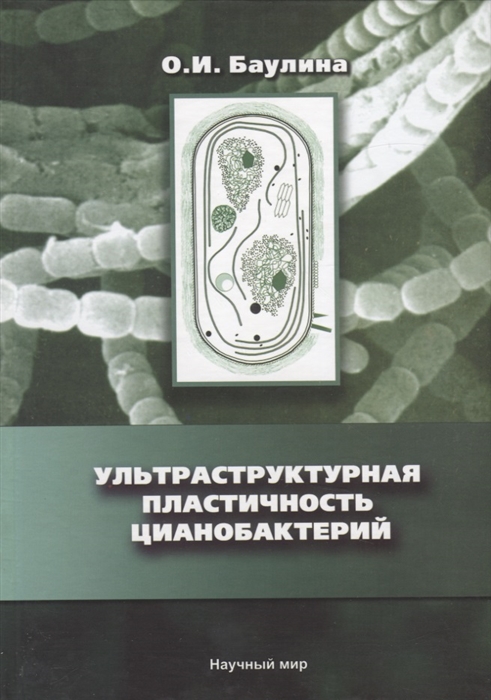 

Ультраструктурная пластичность цианобактерий