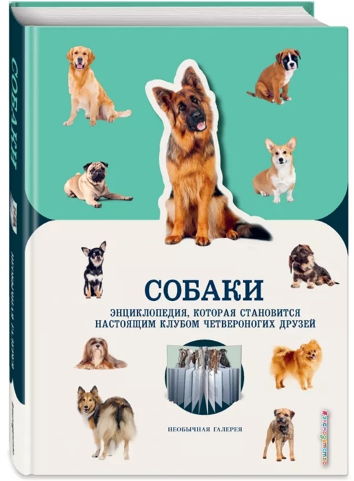 

Собаки