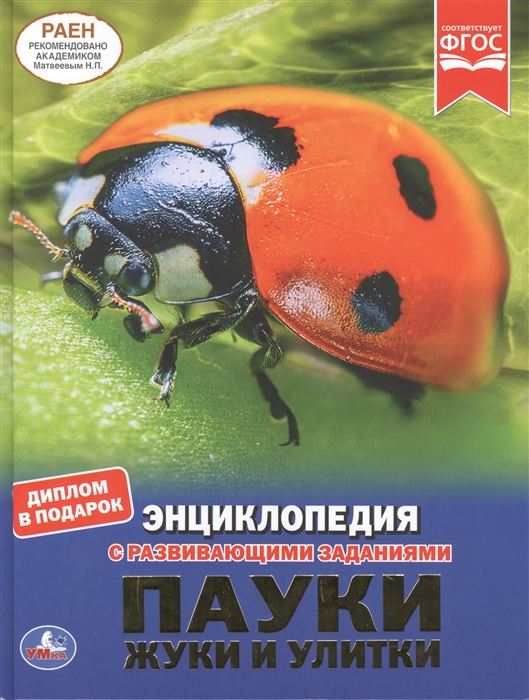 Пауки жуки и улитки Энциклопедия с развивающими заданиями