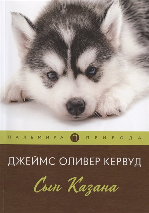 

Сын Казана