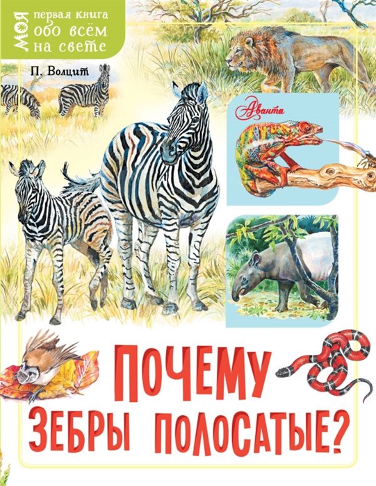 

Почему зебры полосатые