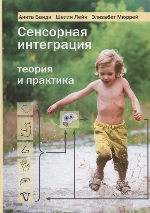 

Сенсорная интеграция Теория и практика