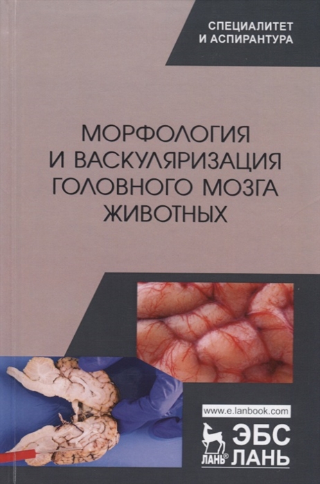 

Морфология и васкуляризация головного мозга животных Монография