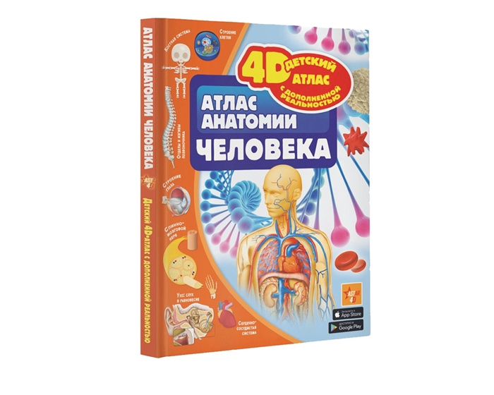 

Атлас анатомии человека