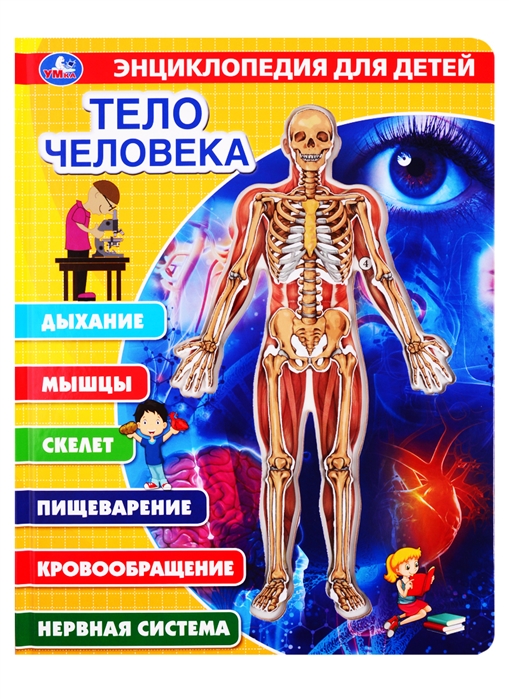 Тело человека Энциклопедия для детей