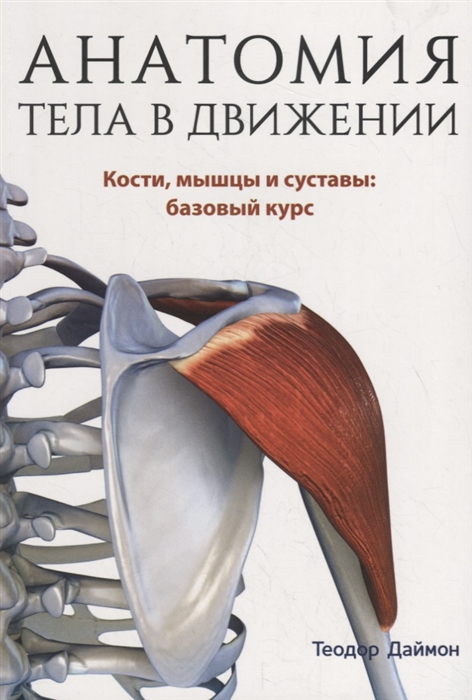 

Анатомия тела в движении Кости мышцы и суставы базовый курс