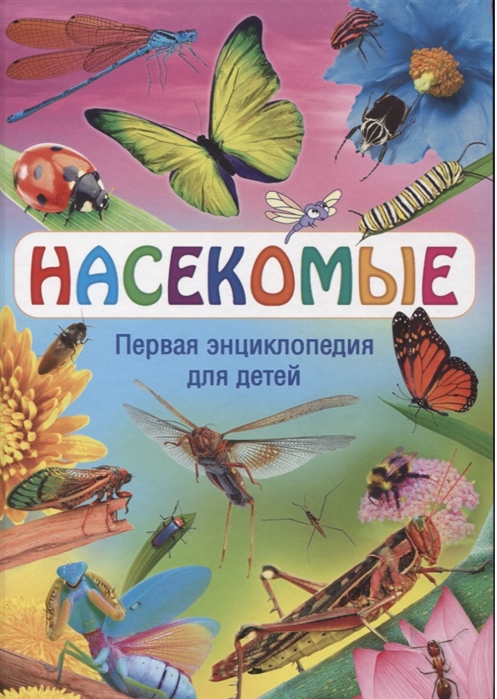 Книга про насекомых для детей с картинками