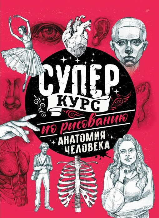 

Суперкурс по рисованию Анатомия человека