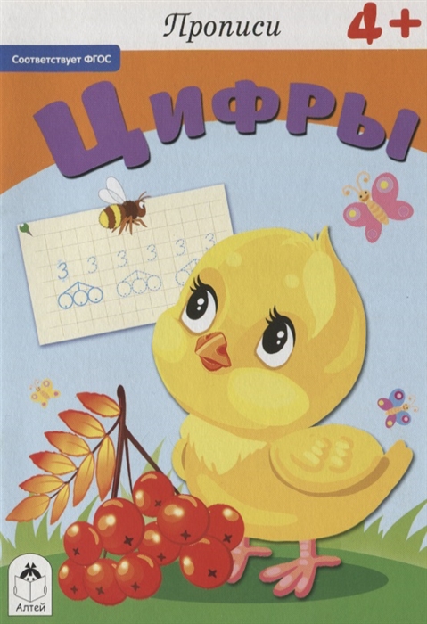 

Прописи Цифры