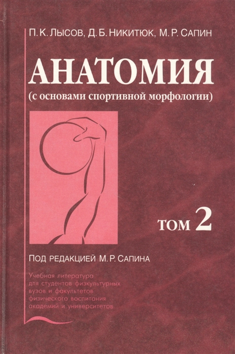 Анатомия с основами спортивной морфологии В 2-х томах Том 2