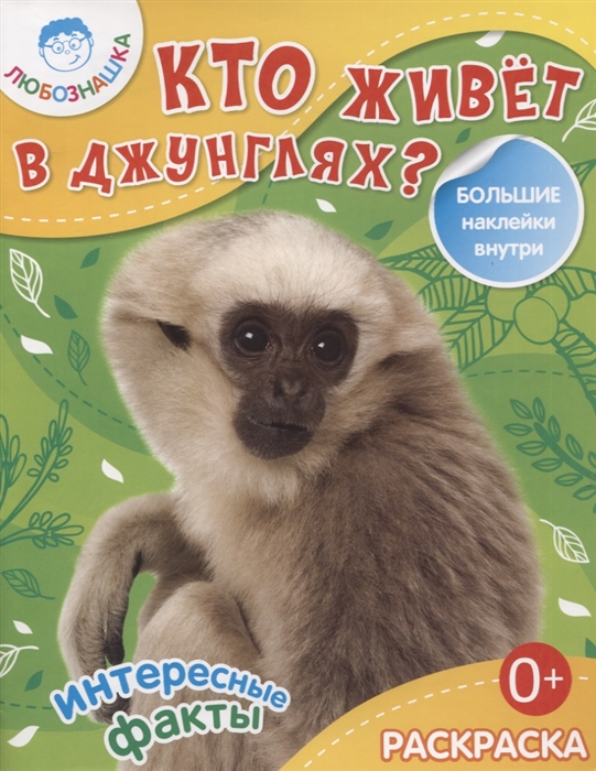 

Кто живет в джунглях Раскраска большие наклейки внутри
