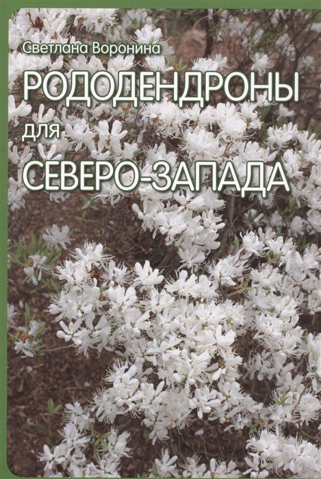 

Рододендроны для Северо-Запада