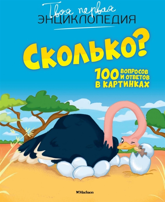 

Сколько 100 вопросов и ответов в картинках
