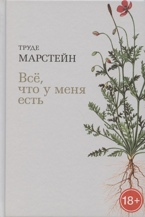 

Все что у меня есть