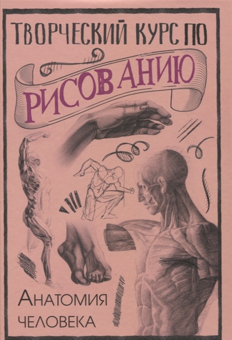 

Творческий курс по рисованию Анатомия человека