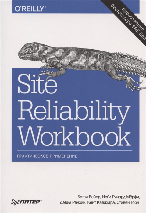 

Site Reliability Workbook практическое применение