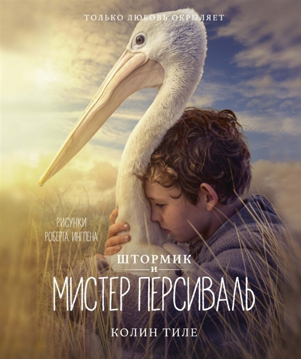 

Штормик и мистер Персиваль Повесть