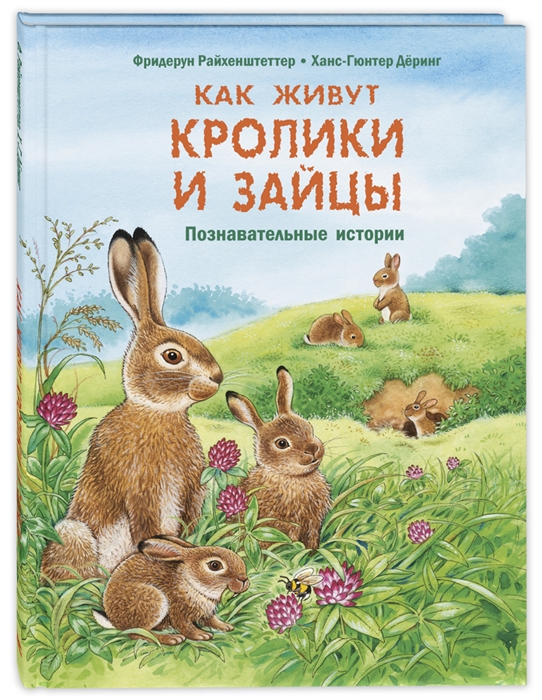 

Как живут кролики и зайцы Познавательные истории