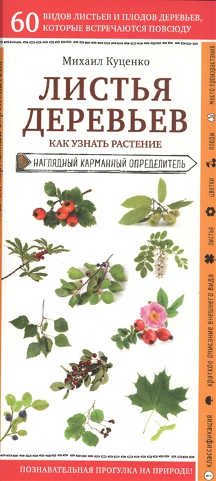 

Листья деревьев Как узнать растение Наглядный карманный определитель