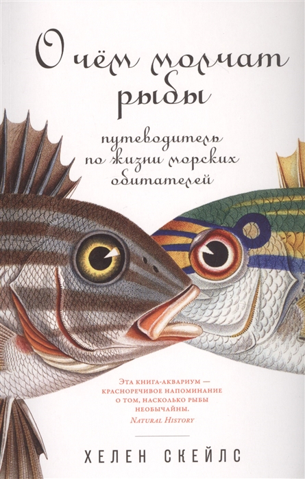 

О чем молчат рыбы Путеводитель по жизни морских обитателей