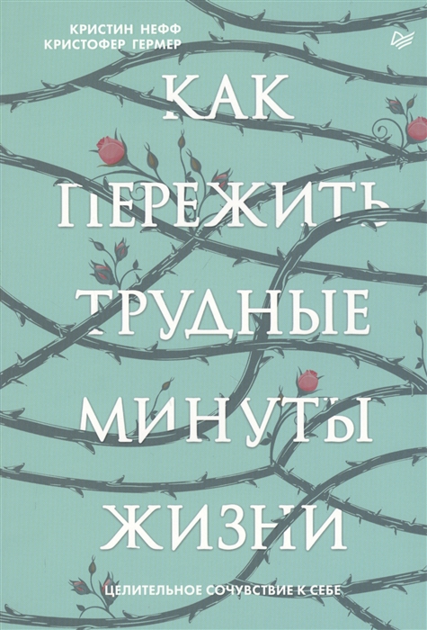 

Как пережить трудные минуты жизни Целительное сочувствие к себе