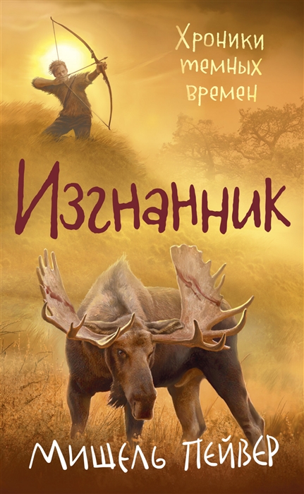 

Хроники темных времен Книга 4 Изгнанник
