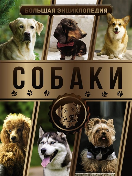 

Большая энциклопедия Собаки