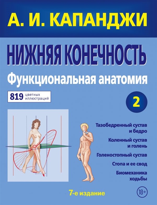 

Нижняя конечность Функциональная анатомия Том 2 819 цветных иллюстраций