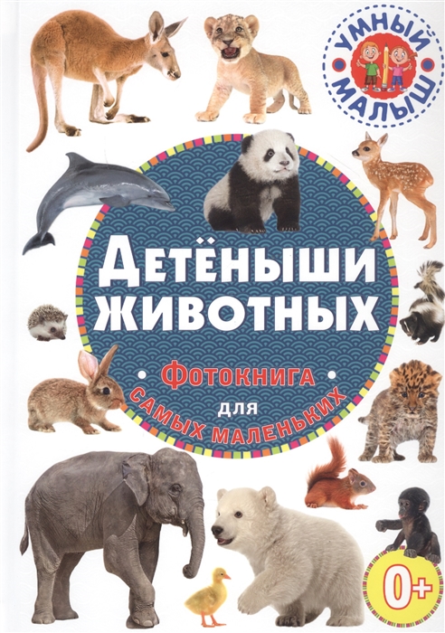 

Детеныши животных Фотокнига для самых маленьких