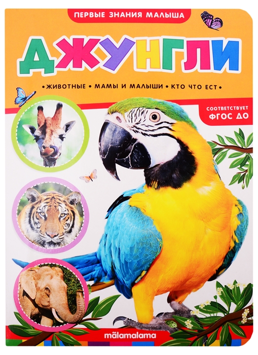 

Джунгли